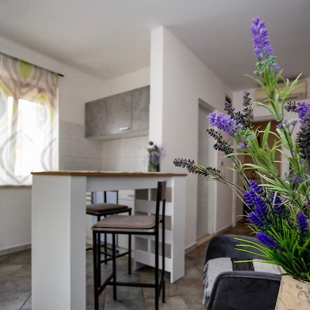 Apartments Ina & Ika Rovinj Kültér fotó