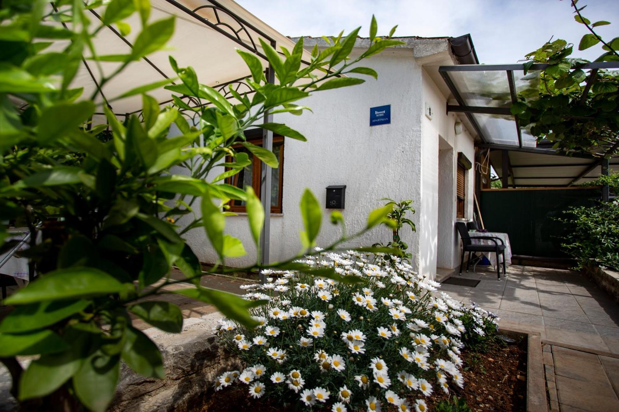 Apartments Ina & Ika Rovinj Kültér fotó
